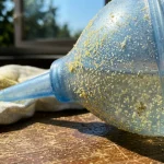 Jak tvar nosu prozrazuje sklon k alergiím a co jsem se naučila v praxi jak-tvar-nosu-prozrazuje-sklon-k-alergiim-a-co-jsem.webp.webp